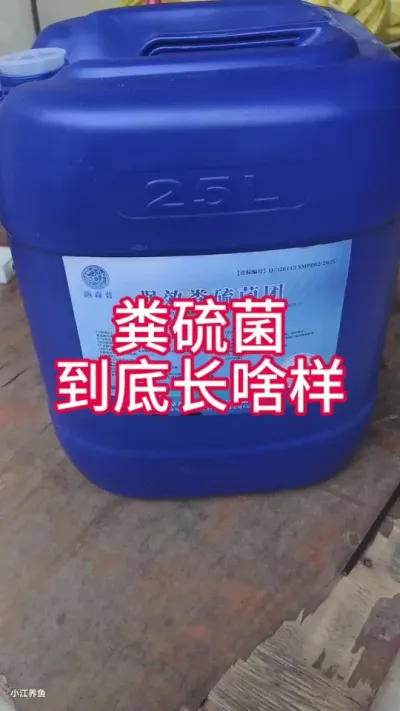 Ƶ1.5Ŀʶ# #б