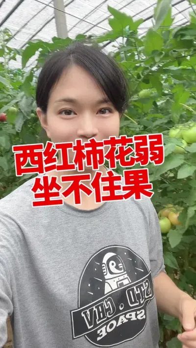 #ݪֲ ##ס##¶  СƳµ @С