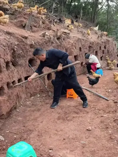 6ֲģʽΪĸ # #ũ