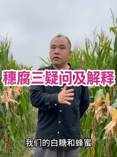 븯ʼڹ 1Ϊʲô粥븯2ͬΪ븯3ͬڲƷΪ븯ˮƽ#ũҵݪֲ