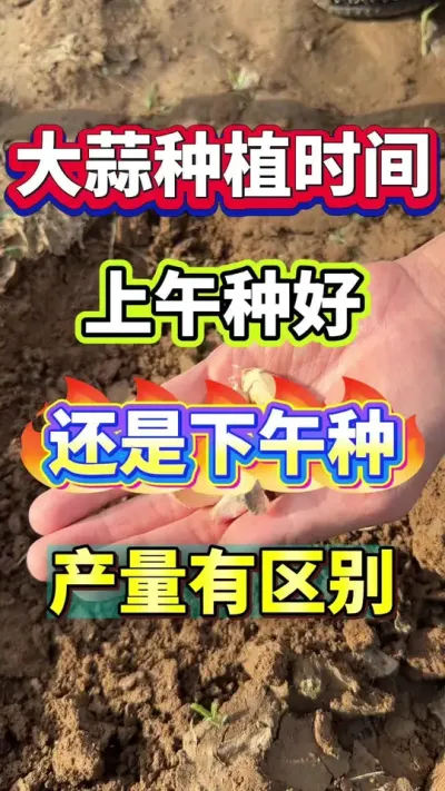 ݪֲվ#ݪֲ #߲ #ⲡ