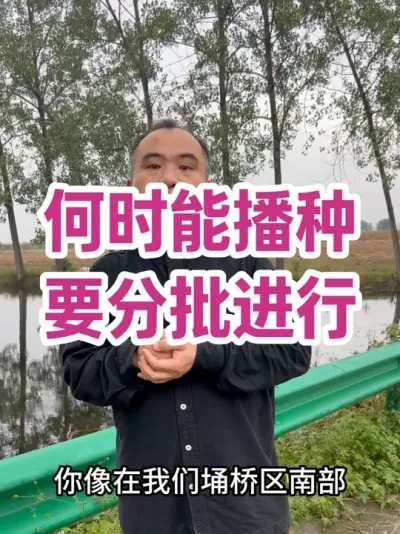 ʱܲ Ҫ ǰɢܲػСѩҲͲˣջ#ũҵݪֲ