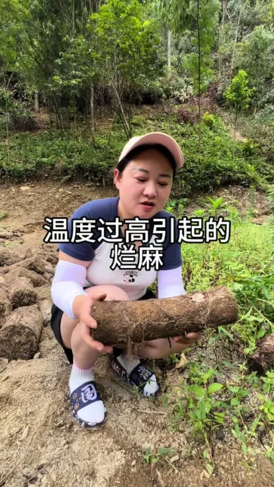 �¶ȹ����Ӿ�ѬȾ�������� #������ũ�� #����ݪֲ #���շ���@����С����