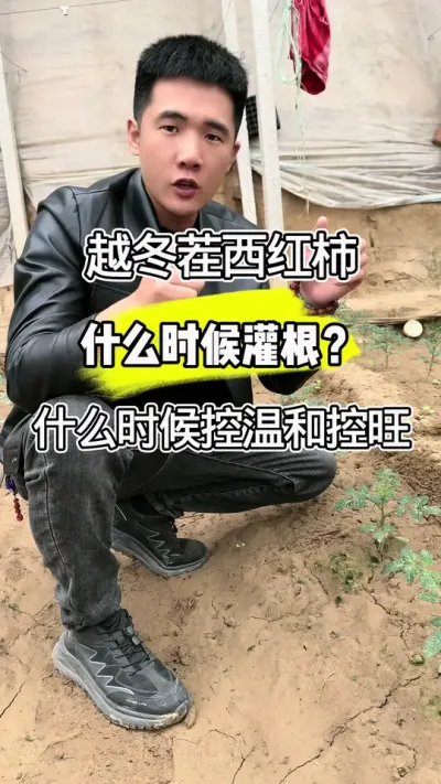 Խڹƻ #ũҵݪֲ #ݪֲ #ũ #ũũҵũ #ũҵ֪ʶ