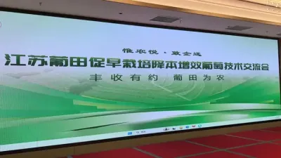 ѵ #ݪֲ #ũ2022 #õ #ũ #ݪֲ