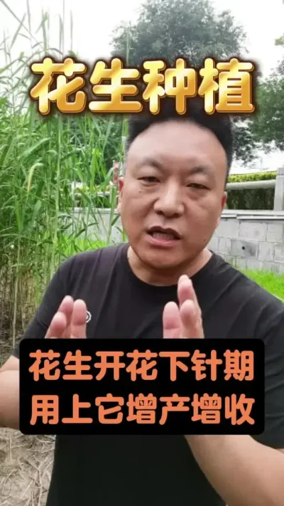 ��������ڵ�Ҫ���䷽#����ݪֲ #�������������