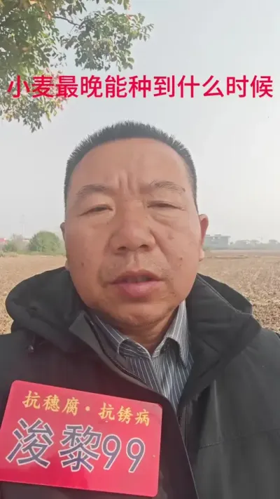 Сֵʲôʱ#Сݪֲ#ũ#ũ#99