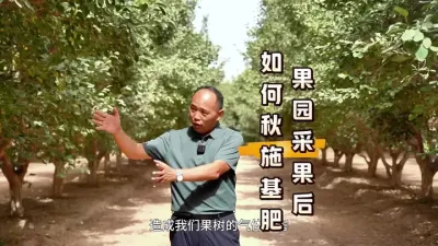 ÷ժѧʩ#ũ #ʩ#ũ#ũշͬ#÷ݪֲ