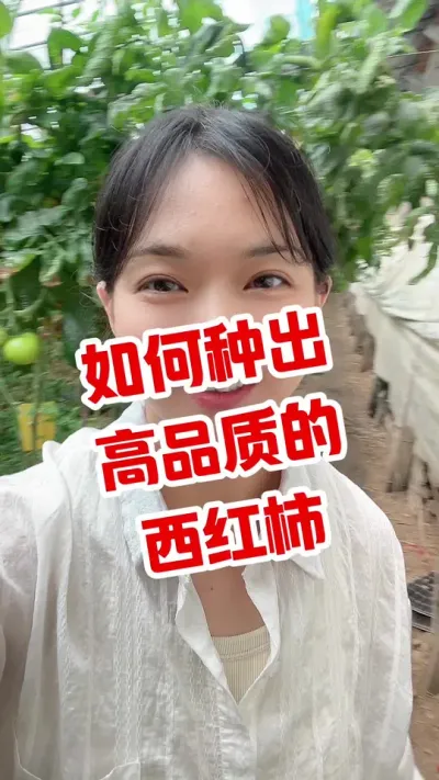 #西红柿种植 #记录我的种植生活 #大棚西红柿 #闷棚 菌 在橱窗 点个关注吧@抖音小助手