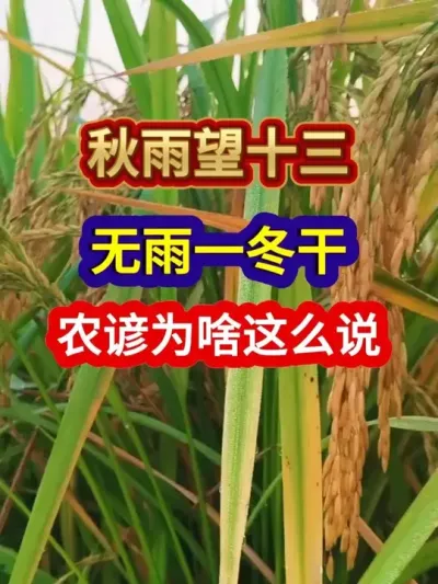 ʮһũΪɶô˵ #ũҵ #ũ #ũϻ #ũ #ũ