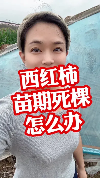 #ݪֲ#ø#ù#ݪֲ#  СƳµ @С