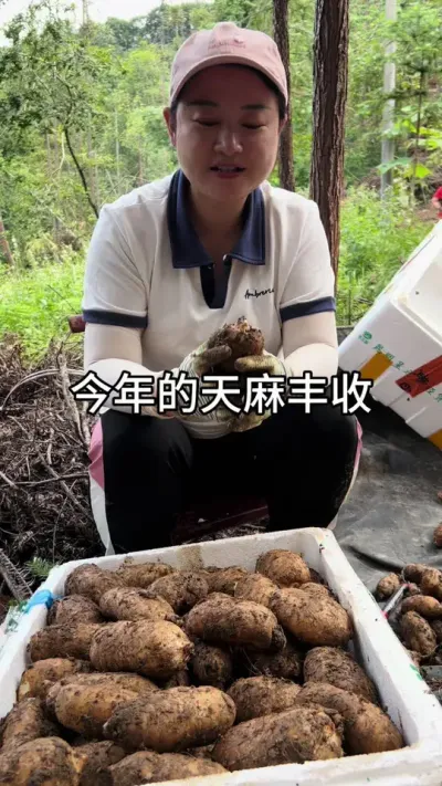 ǽզ #ũݪֲ #ݪֲ #ũ @С