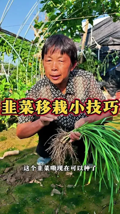 ²ڿϲԾ²˵٭ǿж#ũ #² #²ݪֲ #߲ #ݪֲС @DOU+С @С @DOU+