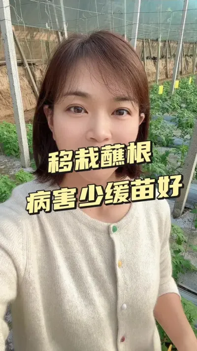 #պ#󋠶#ݪֲ##¼ҵݪֲ @С  Ҫ͵СƳ