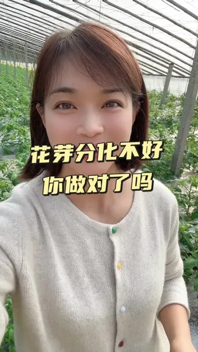 ##ݪֲ##¼ҵݪֲ#ѿֽ עת @С