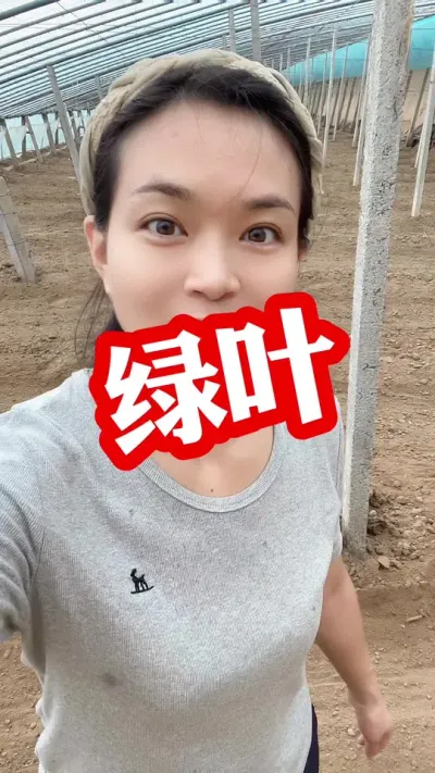 #Ҷ#Ҷ#ݪֲ#ݪֲ#Ҷ  СƳµ ЧǺ@С