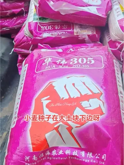 ͲʲôϵΪɶҪ#ũ#ũ#ݪֲС #ũ #ũ