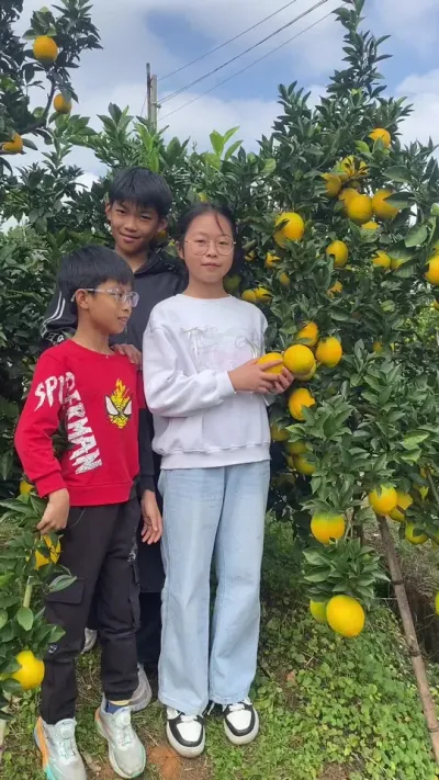 1ǼҵʽԤԤ۸101 # ڸ