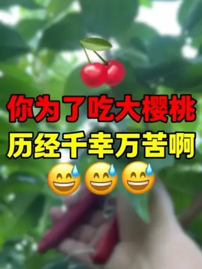 ?Ϊྡ ##Ӵӣ#ݪֲ#̨ݪֲ