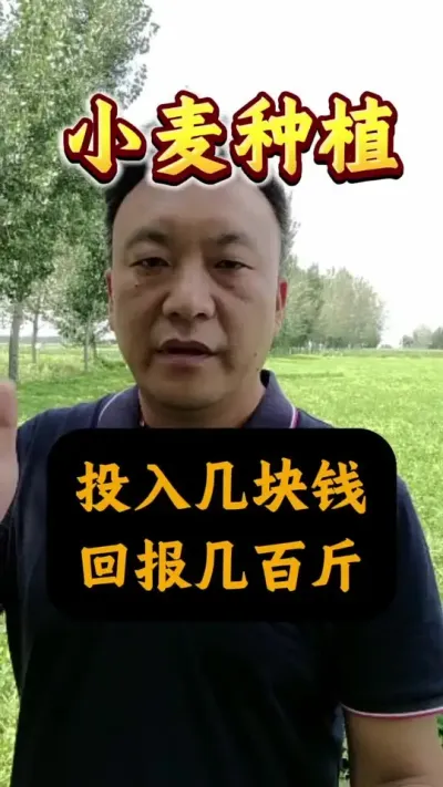 Ͷ뼸Ǯرٽ#Сּ #Сݪֲ