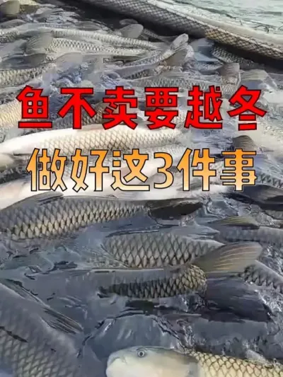 Խ㣡Խ 3 곤#  #  #ˮֳ  #Դ #޿