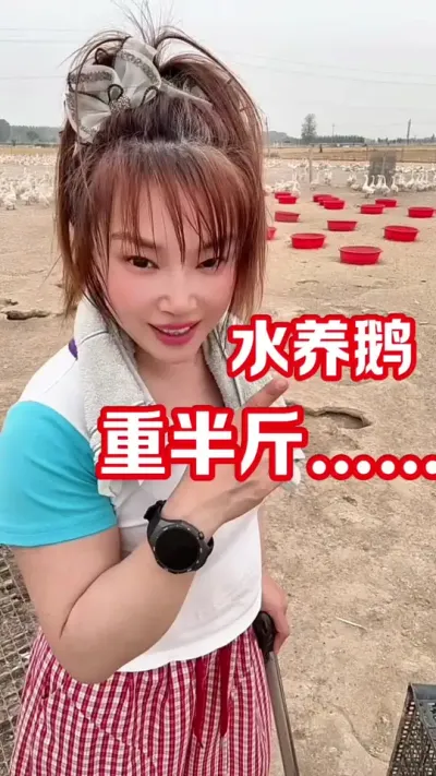 ���������ԡ����ˮ�����������������#������#ũ�崴ҵ��ֳ #�������շ���