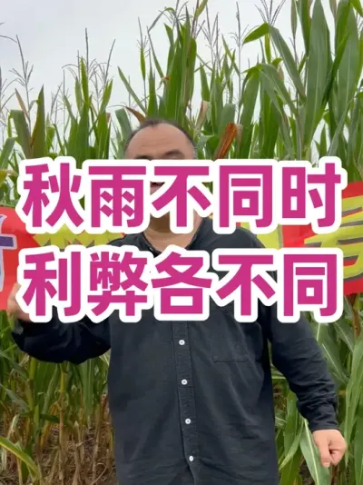 ʱ ׸ 겻˰޽ӵ꣡з#ũҵݪֲ