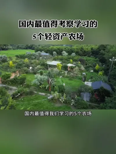 ֵÿѧϰ5ʲũ#ũ #ũҵ #ũׯ #ũ