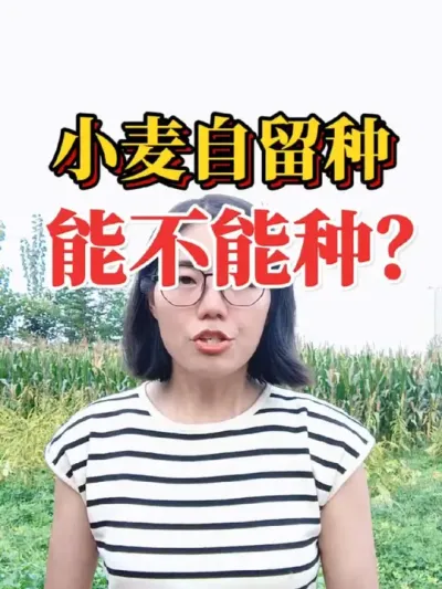 СĻӰٱ#ũݪֲ #ũҵ #Сݪֲ #ũ #2025ũ