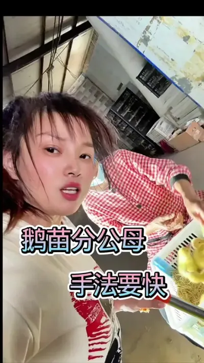 ֹĸַ# #ũ崴ҵֳ #շ