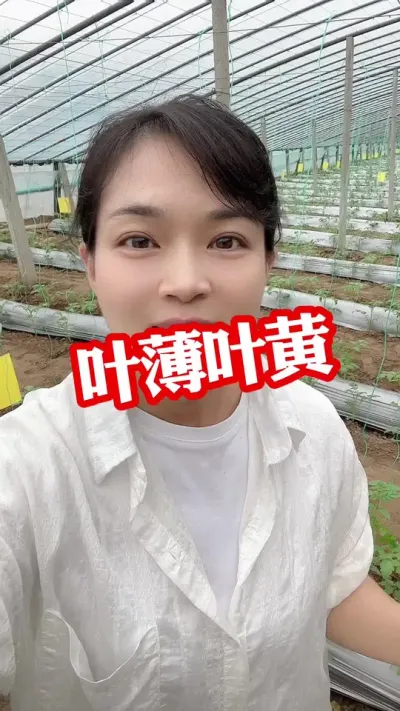 #Ҷ#Ҷ#Ҷ#Ҷ#¼ҵݪֲ Ҫ͵СƳ@С