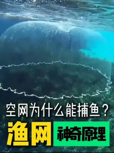 ǿյΪʲô̵1ǧ겶 # # #һ #֪ʶ #Ҳջ