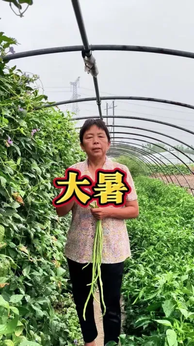 ʮĽ֮ºЩ߲#ũ# #ʮĽ #߲ݪֲ #߲ #עһѧֲ @С @DOU+С @DOU+