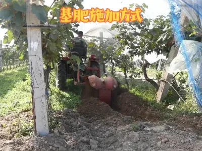 ʩӷļǻʲô# #ݪֲ #ũҵ # #ʩ