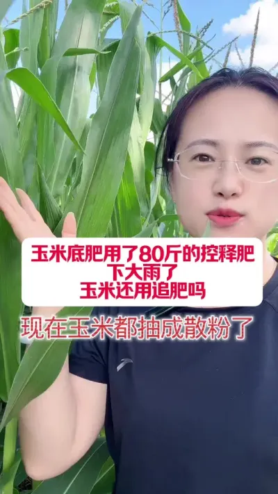 ׷õĶºҪ׷ #ֲС֪ʶ #ݪֲС #ũҵݪֲ #ũҵС֪ʶ #ũ֧ũ