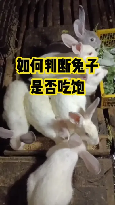 �����жϣ������Ƿ�Ա�#������ũ#��ֳ#����