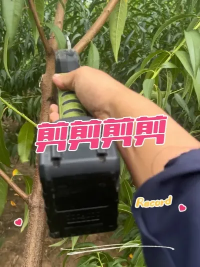 ＾޼ ֦ӹϵȷͨ#޼ɽѧ #޼ #޼