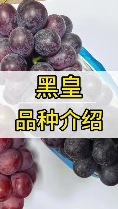 ڻƷ #ݪֲ #ũ2022 #õ #ũ #ũ