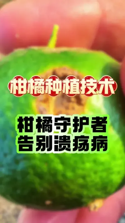 תɫô˹޲#ݪֲ #ٹ # #ݪֲ