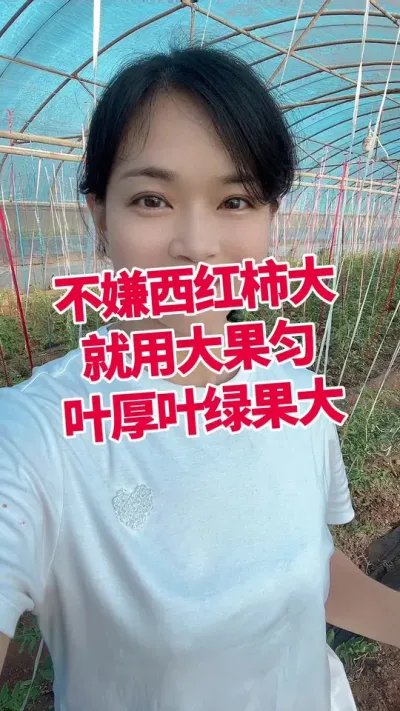 #ݪֲ##Ҷ##ݪֲ СƳµ ЧǺ@С