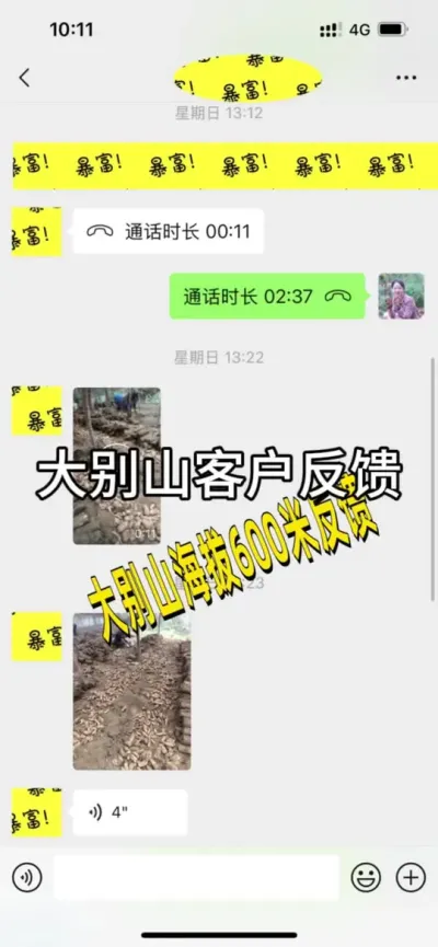 ɽͻ ĲͲ#ݪֲ #շ #ۻ# @С