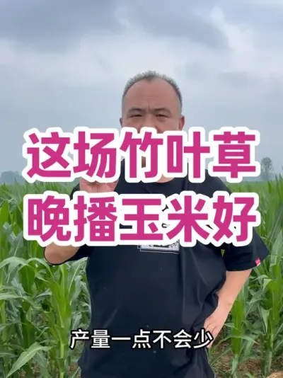 ⳡҶ ׺ 䡢¶Ƚ䡢ʪܶ࣡#ũҵݪֲ