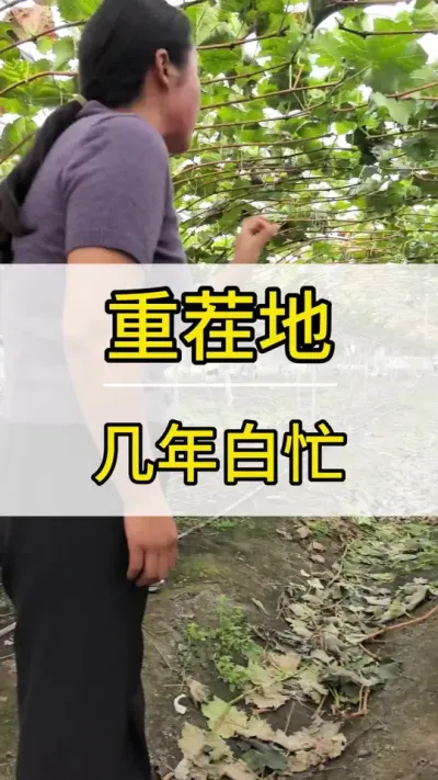 زݪֲ · #ݪֲ #ũ2022 #õ #ũ #ũ