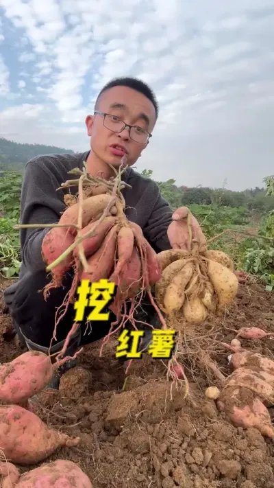 ںڰм#ֲ #ݪֲС #ͥݪֲ #עһѧֲ #յϲ