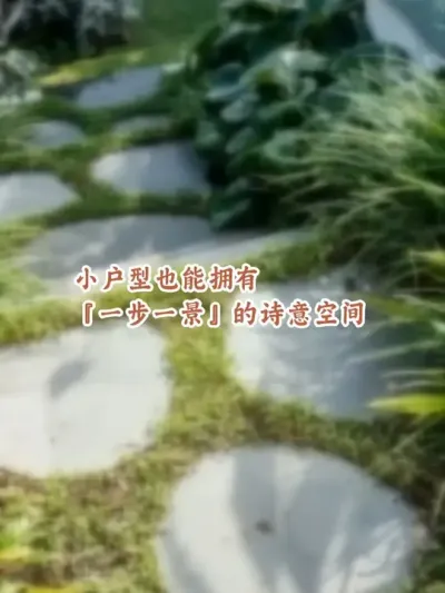为什么精心挑选的网红植物摆进院子反而杂乱？ 为什么精心挑选的网红植物摆进院子反而杂乱？是因为缺乏骨架植物统筹全局！找我们，教你用骨架植物定基调，宿根植物和多年生草花做填充，用铺地植物收边。拒绝植物乱堆