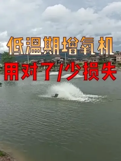 低温期增氧机用对了，就是给鱼“上保险”！避开误区、抓准时机，养鱼少损失，心里更踏实！！#养鱼人   #水产养殖技术  #水产 #晨源生物 #无抗增免