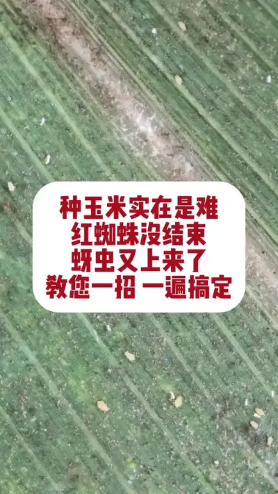 ʵ֩涼Чã #ũҵݪֲ #ݪֲС #ũݪֲ #ũ֧ũ