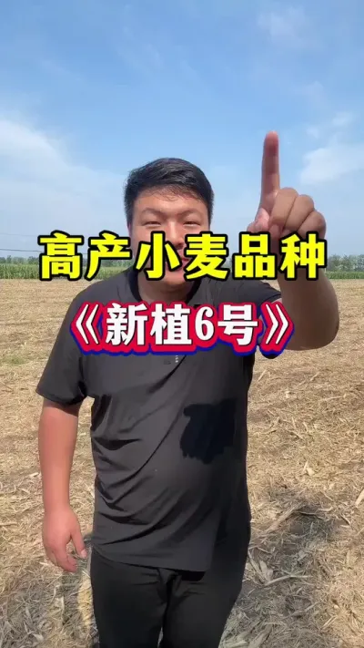 ߲СƷֲ 6ţ #Сݪֲ #СƷ #ֲ6