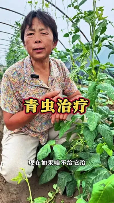 �������ļ�����һ��Ҫʵʱ����Ŷ#���溦���� #��ũ #�߲����� #ݪֲС���� #������ @DOU+������ @��������С���� @DOU+С����