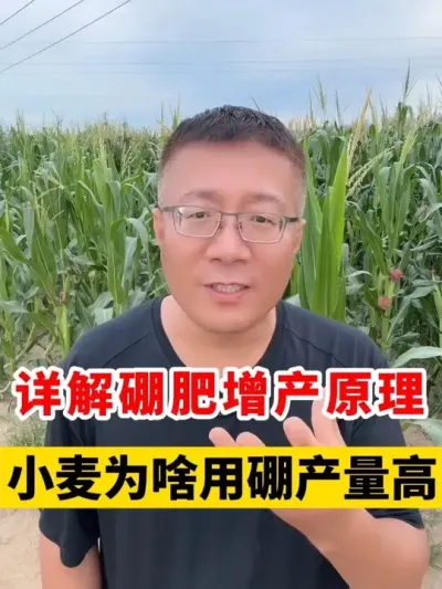 С󲻲СΪɶʲ #Сݪֲ # #С߲ #Сݪֲ #С׷